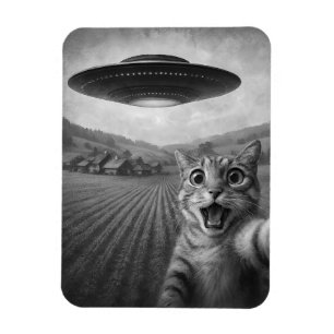 Ímã Selfie De Gato Com Presentes De Gato Engraçado De
