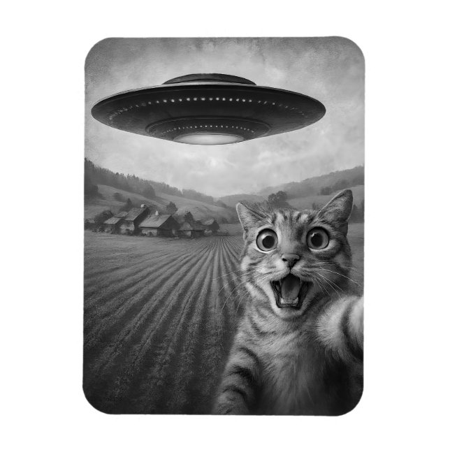 Ímã Selfie De Gato Com Presentes De Gato Engraçado De  (Vertical)