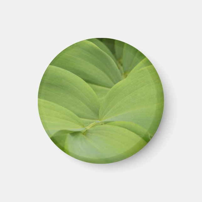 Imã Selo Solomons (Frente)