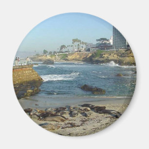 Imã Selos na areia na angra de La Jolla