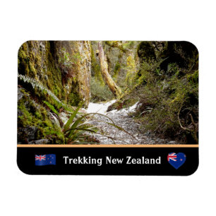 Ímã Selva de fadas, Kiwi trekking/Nova Zelândia