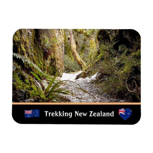 Ímã Selva de fadas, trekking de Kiwi/Nova Zelândia (Horizontal)
