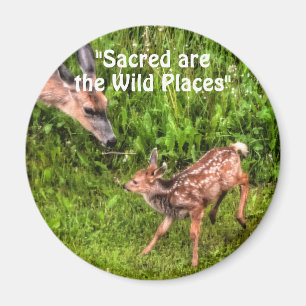 Imã Selvagem de Vadias Selvagens para amantes do exter