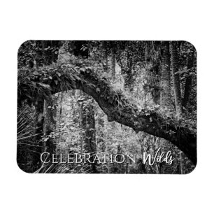 Ímã Selvagens de Celebração