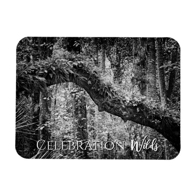 Ímã Selvagens de Celebração (Horizontal)
