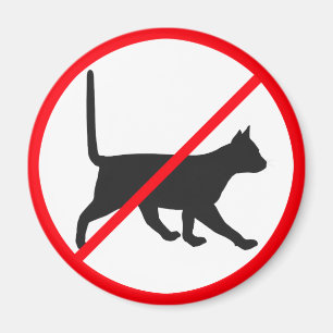 Imã Sem Entrada Para Gatos!