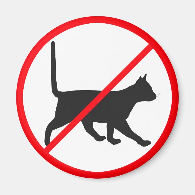 Imã Sem Entrada Para Gatos! (Frente)