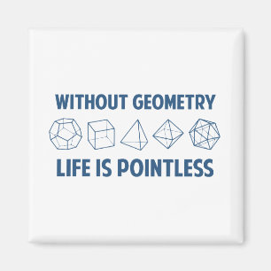 Imã Sem geometria a vida é injustificada
