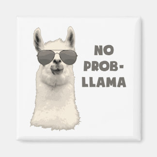 Imã Sem problemas Llama