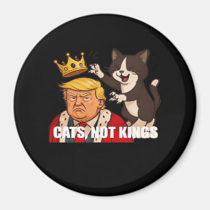 Imã Sem Reis Anti Gatos Estilo Clássico Divertido