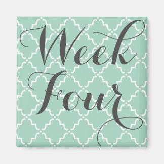 Imã Semana Quatro Magnetos