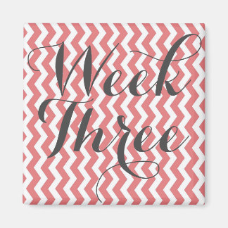 Imã Semana Três Magnetos