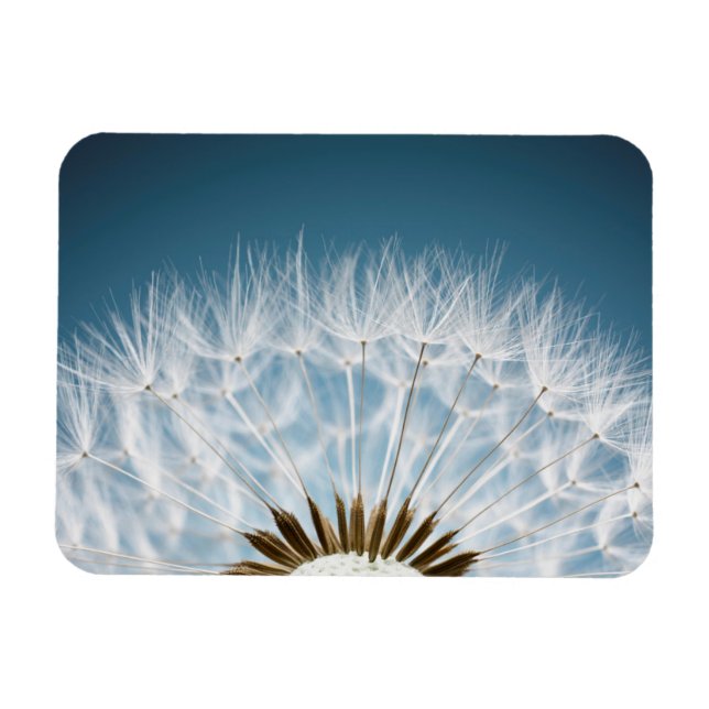 Ímã Sementes De Dandelion (Horizontal)
