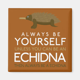 Imã Sempre Seja Você Mesmo A Não Ser Que Possa Ser Uma