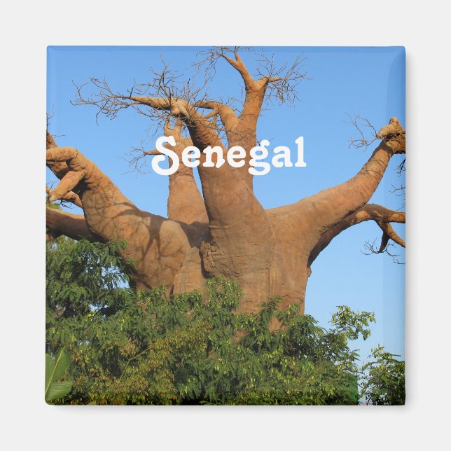 Imã Senegal (Frente)