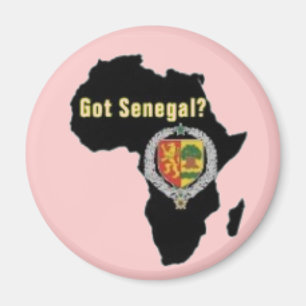 IMÃ SENEGAL/T-SHIRT SENEGALÊS DA BANDEIRA E ETC.