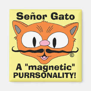 Imã Senhor Gato - Uma pursonalidade magnética! Gato en