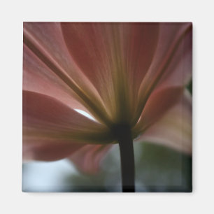 Imã Senhora cor-de-rosa