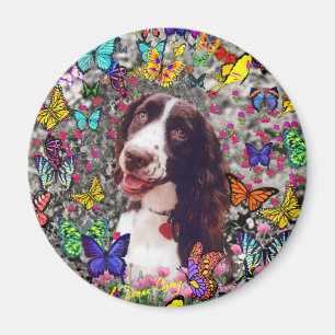 Imã Senhora nas borboletas - cão do Spaniel de