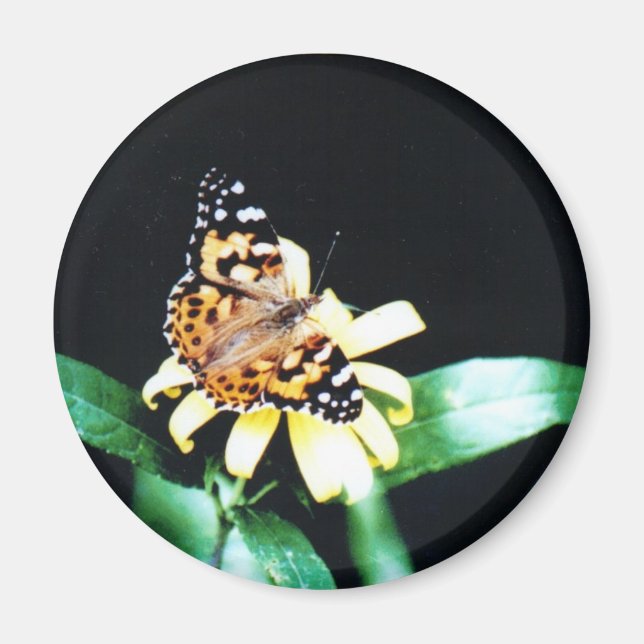 Imã Senhora Pintada (Frente)