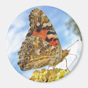 Imã Senhora pintada borboleta Ímã