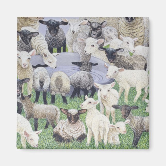 Imã Sensação de Ovelha (Frente)