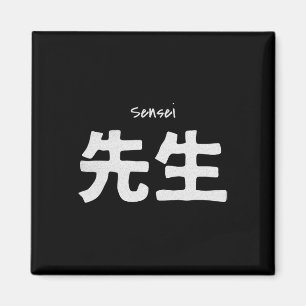 Imã Sensei Karate Teacher - Treinando Artes Marciais D