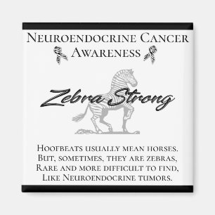 Imã Sensibilização dos Canceres neuroendócrinos Zeb