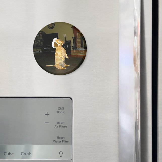 Imã Sentado Bonito ou assistindo TV Dachshund (In Situ (Fridge))