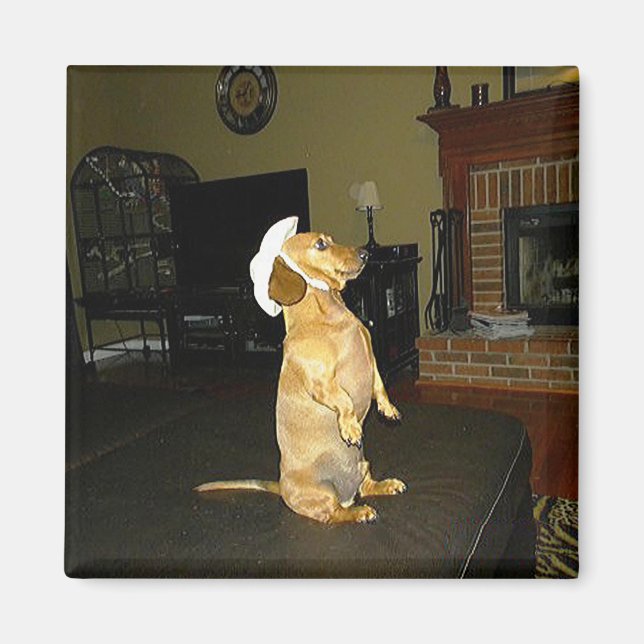 Imã Sentado Bonito ou assistindo TV Dachshund (Frente)