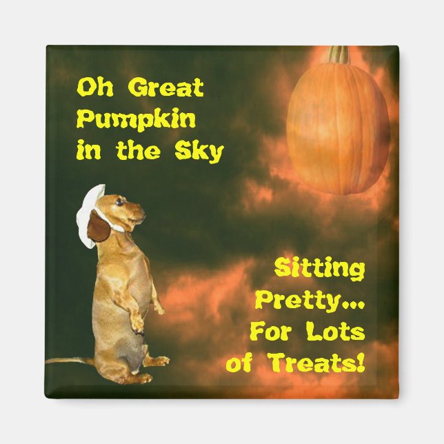 Imã Sentado Bonito para muitos tratamentos (Frente)