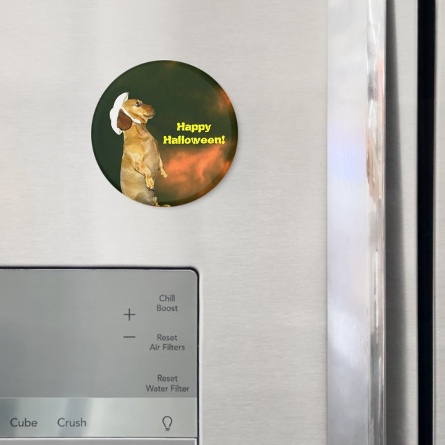 Imã Sentado Bonito para muitos tratamentos (In Situ (Fridge))