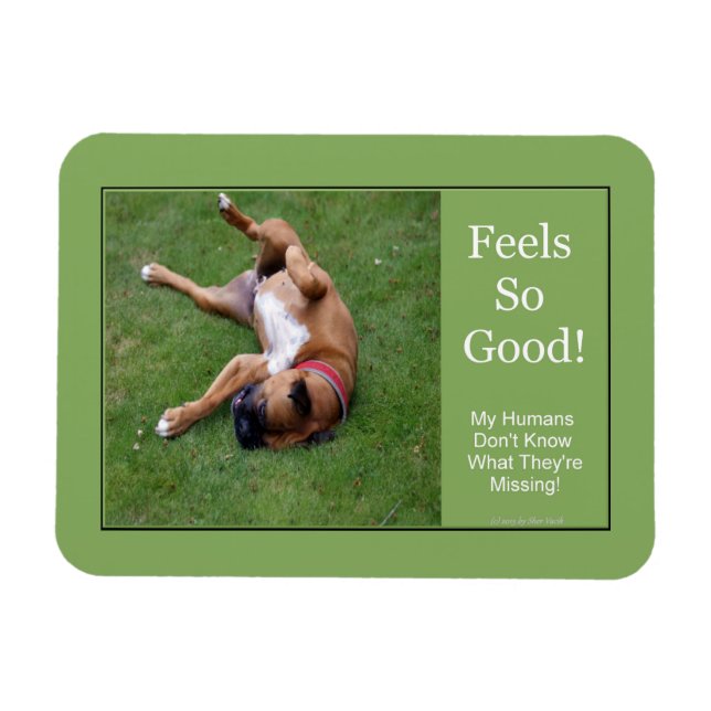 Ímã Sente-Se Tão Bem. (Horizontal)