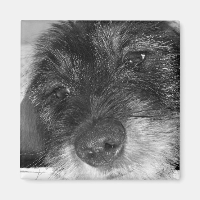 Imã Sentimental (Frente)