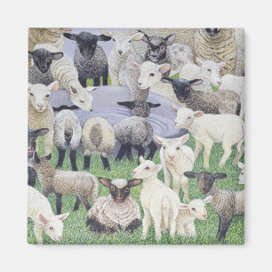 Imã Sentimento acanhado