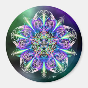 Imã Sentimento livre - autorizando