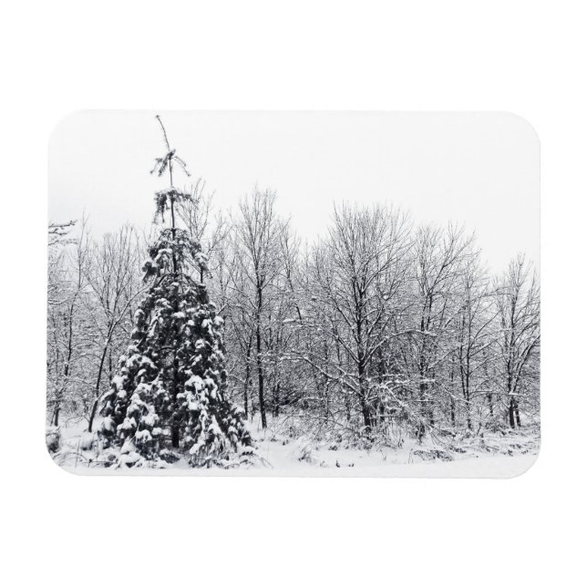 Ímã separação com certeza (Horizontal)