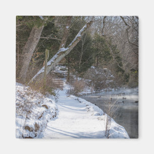 Imã Sequiota Winter Walk