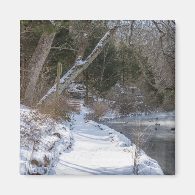 Imã Sequiota Winter Walk (Frente)