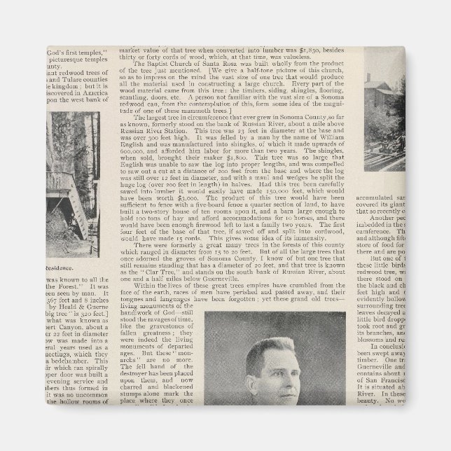 Imã Sequoia de Sonoma, Califórnia (Frente)