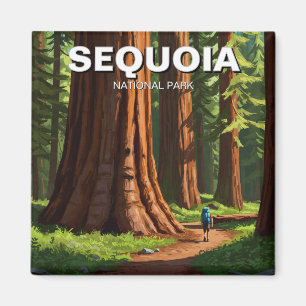 Imã Sequoia National Park California