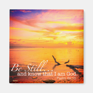 Imã Ser Ainda Magnético