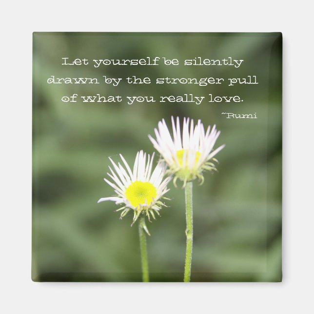 Imã Ser desenhado (Frente)