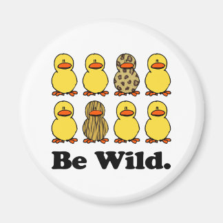 Imã Ser Patos Selvagens