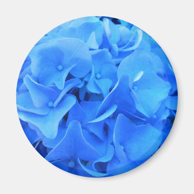 Imã Seraphine (Frente)