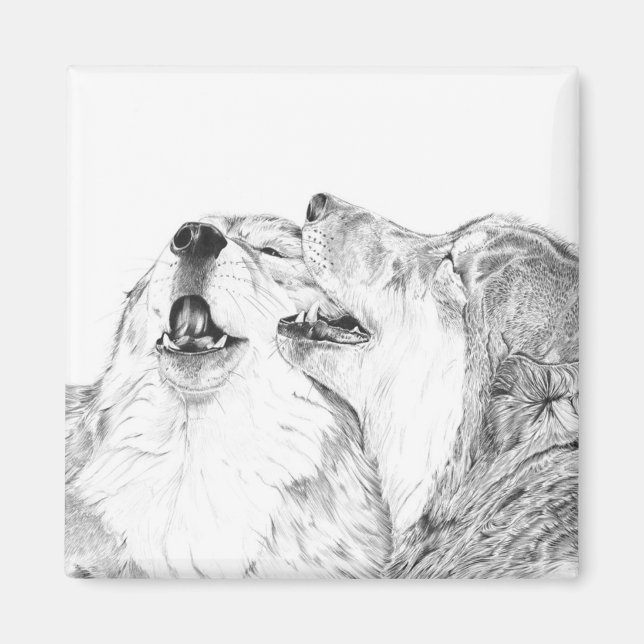 Imã Serenade - Wolf Magnet (Frente)