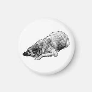 Imã Serene Dot Dog Promove Calma Em Espaços de Férias