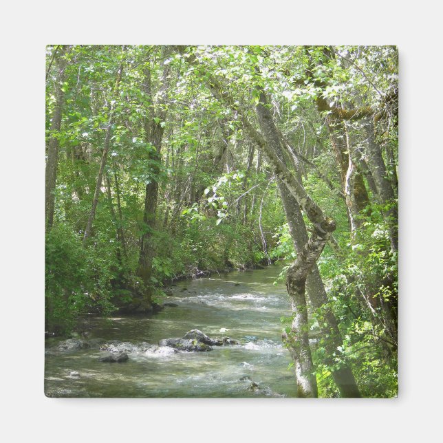 Imã Serenidade.... (Frente)