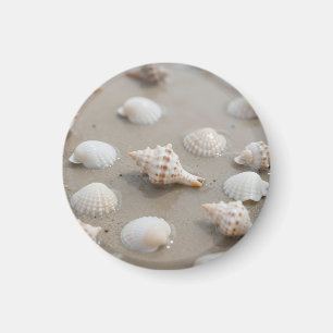 Imã Serenidade da Praia de Conchas Delicadas