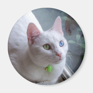 Imã Serenity 2 Magnet